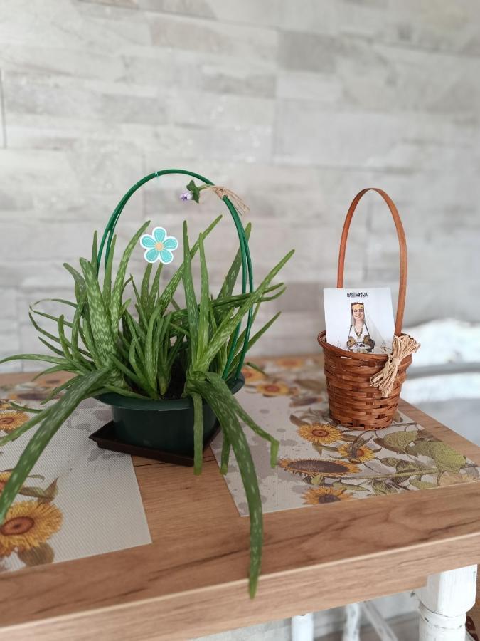 Cozy, Nice & Quiet Apartment Lucky Sarajevo - Free Public Parking 外观 照片